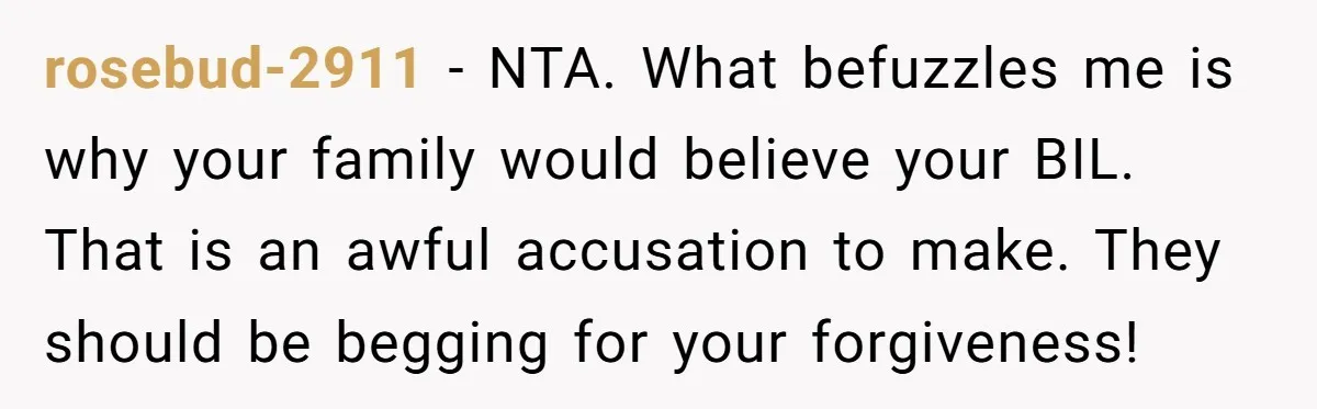 rosebud-2911 - NTA. What befuzzles me is why your family would believe your BIL. That is an awful accusation to make. They should be begging for your forgiveness!