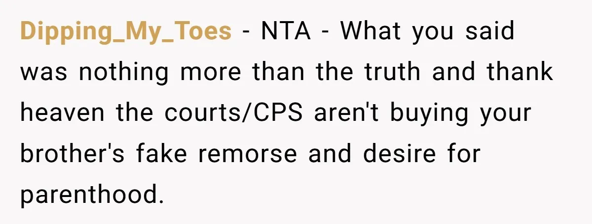 Dipping_My_Toes − NTA - What you said was nothing more than the truth and thank heaven the courts/CPS aren't buying your brother's fake remorse and desire for parenthood.