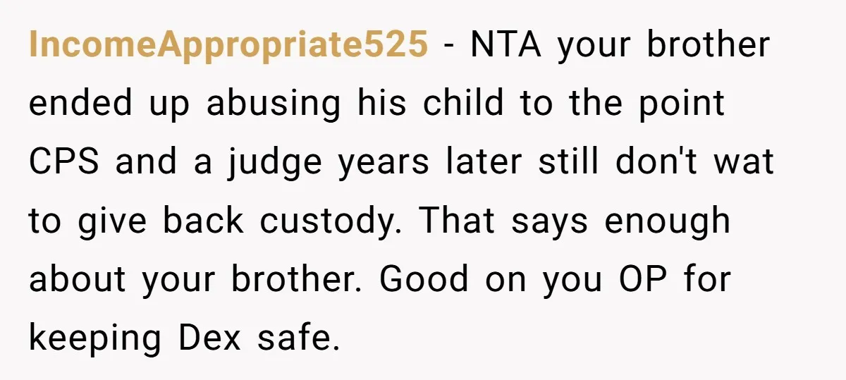IncomeAppropriate525 − NTA your brother ended up abusing his child to the point CPS and a judge years later still don't wat to give back custody. That says enough about...