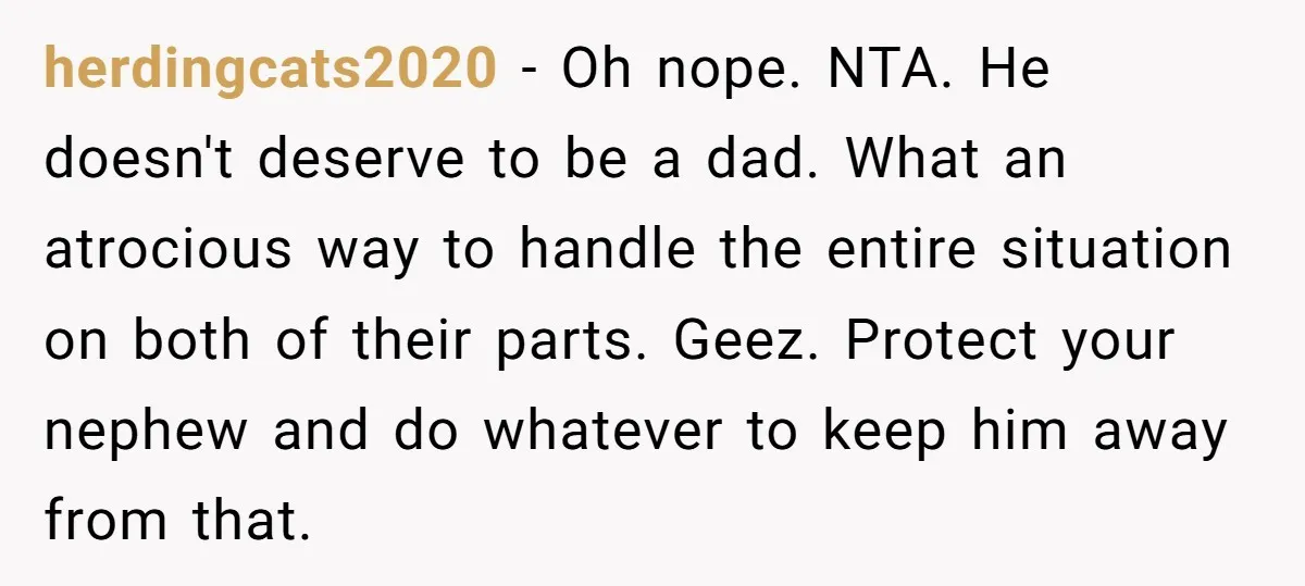 herdingcats2020 − Oh nope. NTA. He doesn't deserve to be a dad. What an atrocious way to handle the entire situation on both of their parts. Geez. Protect your nephew...