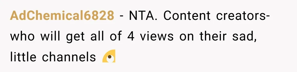 AdChemical6828 − NTA. Content creators- who will get all of 4 views on their sad, little channels 🙄