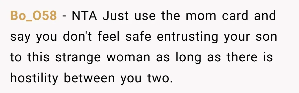 Bo_O58 − NTA Just use the mom card and say you don't feel safe entrusting your son to this strange woman as long as there is hostility between you two.