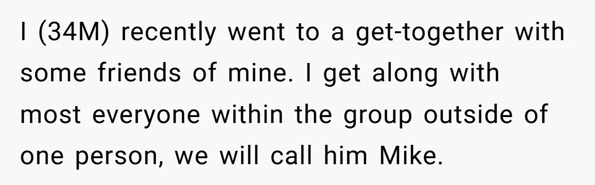 I (34M) recently went to a get-together with some friends of mine. I get along with most everyone within the group outside of one person, we will call him Mike.