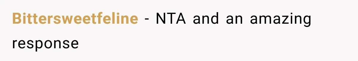Bittersweetfeline - NTA and an amazing response