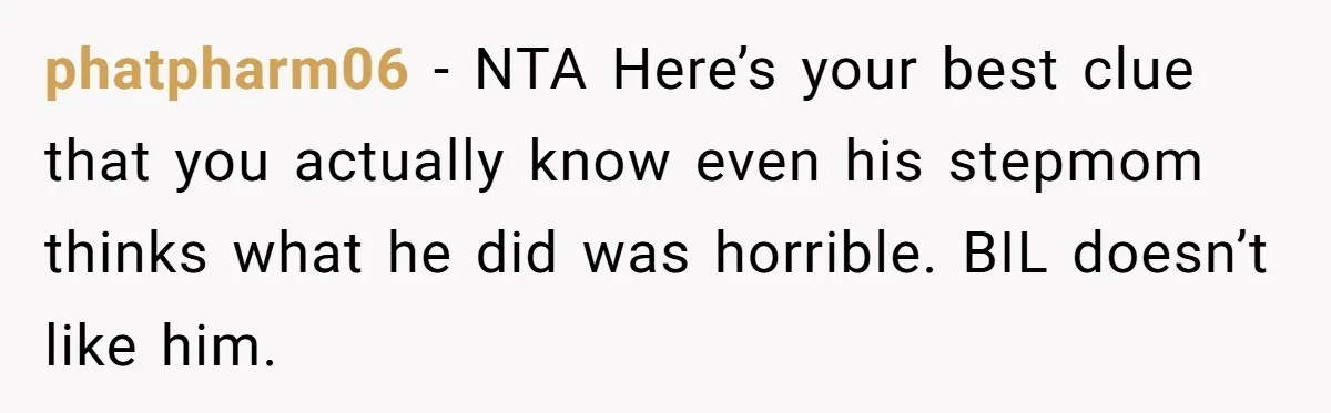 phatpharm06 − NTA Here’s your best clue that you actually know even his stepmom thinks what he did was horrible. BIL doesn’t like him.