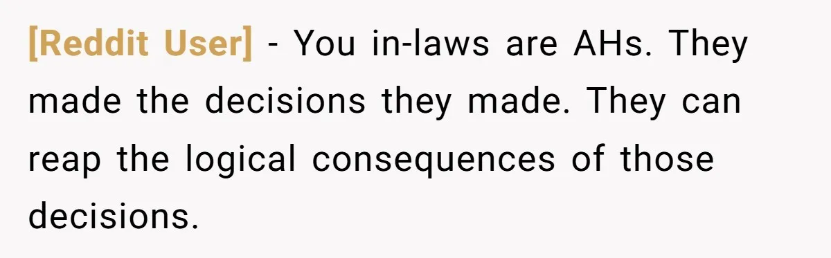 [Reddit User] − You in-laws are AHs. They made the decisions they made. They can reap the logical consequences of those decisions.