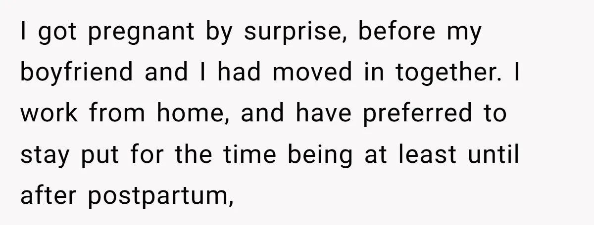 I got pregnant by surprise, before my boyfriend and I had moved in together. I work from home, and have preferred to stay put for the time being at least...