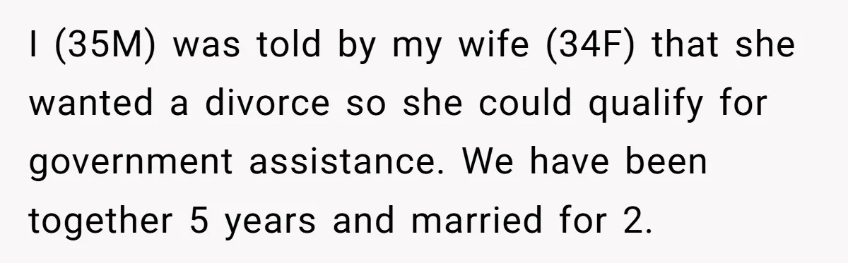 I (35M) was told by my wife (34F) that she wanted a divorce so she could qualify for government assistance. We have been together 5 years and married for 2.