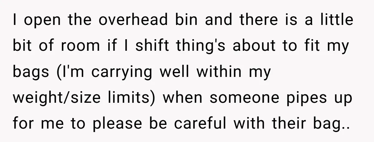 I open the overhead bin and there is a little bit of room if I shift thing's about to fit my bags (I'm carrying well within my weight/size limits) when...