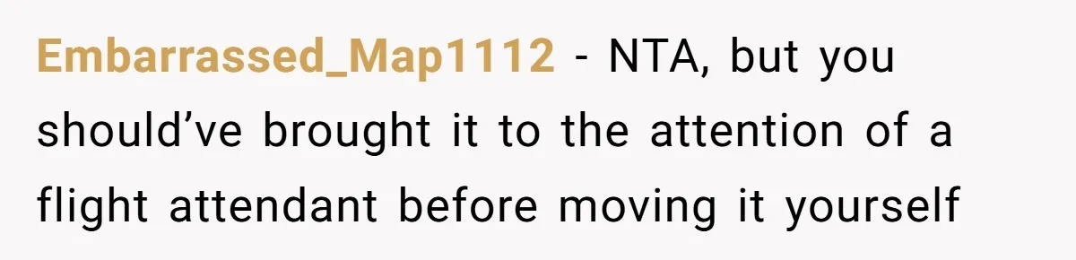 Embarrassed_Map1112 − NTA, but you should’ve brought it to the attention of a flight attendant before moving it yourself