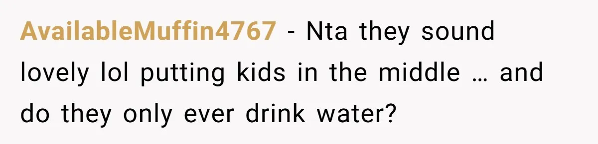 AvailableMuffin4767 - Nta they sound lovely lol putting kids in the middle … and do they only ever drink water?
