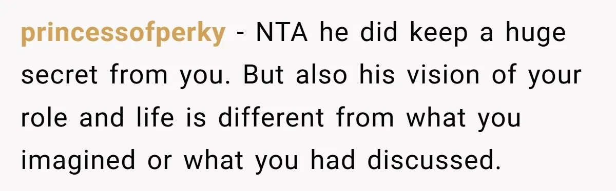 princessofperky − NTA he did keep a huge secret from you. But also his vision of your role and life is different from what you imagined or what you had...