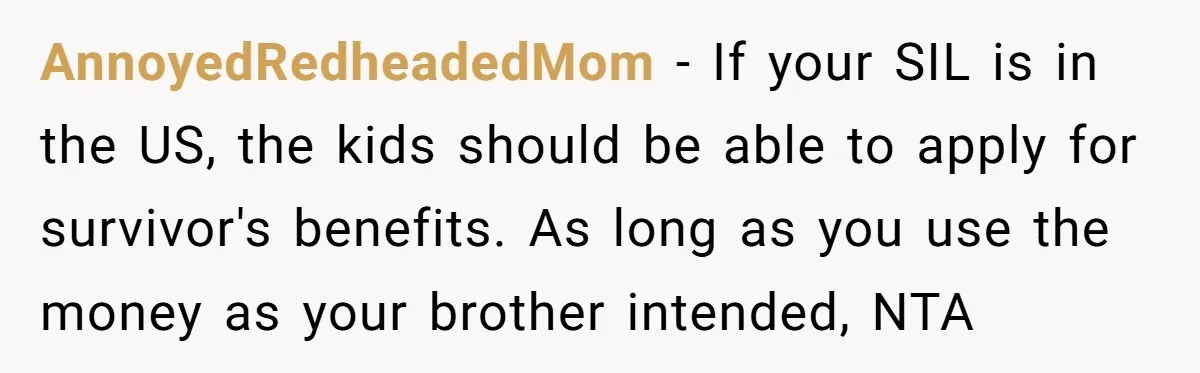 AnnoyedRedheadedMom - If your SIL is in the US, the kids should be able to apply for survivor's benefits. As long as you use the money as your brother intended,...