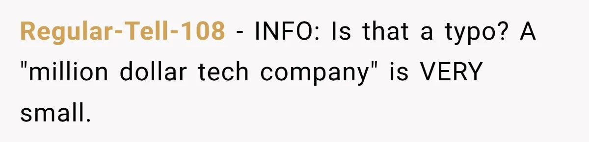 Regular-Tell-108 − INFO: Is that a typo? A "million dollar tech company" is VERY small.