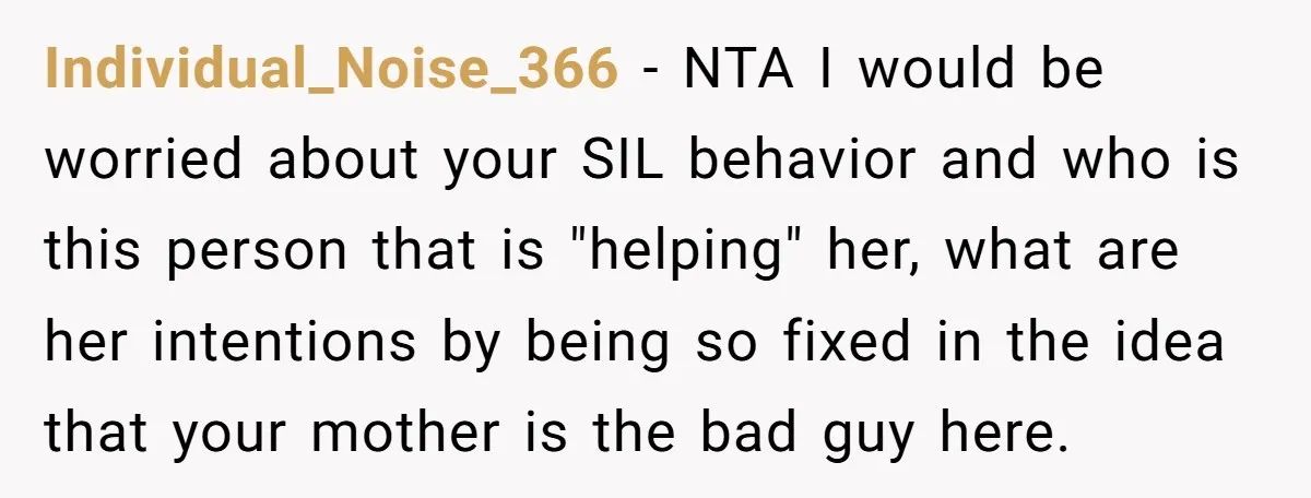 Individual_Noise_366 - NTA I would be worried about your SIL behavior and who is this person that is "helping" her, what are her intentions by being so fixed in the...