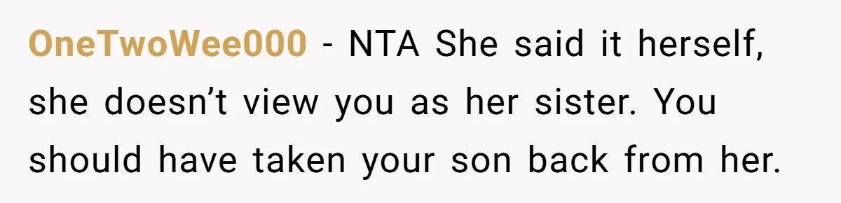 OneTwoWee000 − NTA She said it herself, she doesn’t view you as her sister. You should have taken your son back from her.