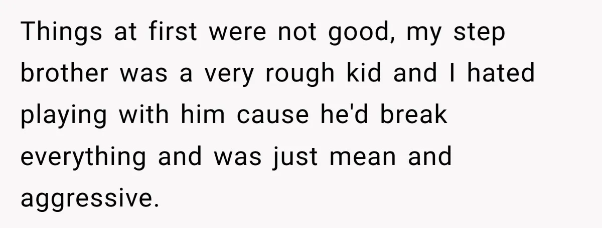 Things at first were not good, my step brother was a very rough kid and I hated playing with him cause he'd break everything and was just mean and aggressive.