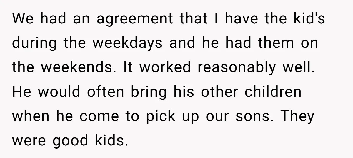 We had an agreement that I have the kid's during the weekdays and he had them on the weekends. It worked reasonably well. He would often bring his other children...