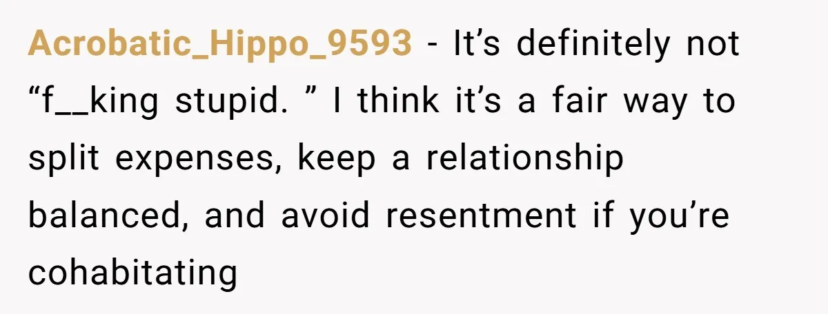 Acrobatic_Hippo_9593 - It’s definitely not “f__king stupid. ” I think it’s a fair way to split expenses, keep a relationship balanced, and avoid resentment if you’re cohabitating