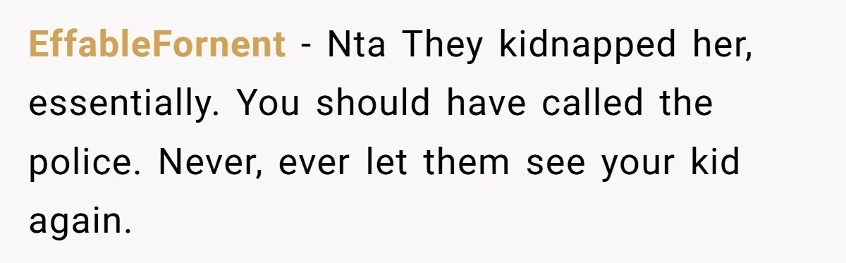 EffableFornent − Nta They kidnapped her, essentially. You should have called the police. Never, ever let them see your kid again.