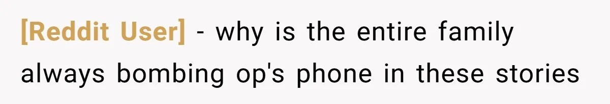 [Reddit User] - why is the entire family always bombing op's phone in these stories