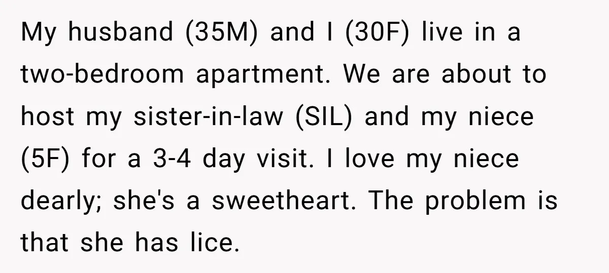 My husband (35M) and I (30F) live in a two-bedroom apartment. We are about to host my sister-in-law (SIL) and my niece (5F) for a 3-4 day visit. I love...