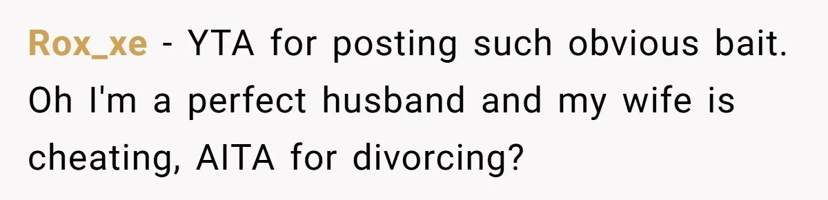 Rox_xe − YTA for posting such obvious bait. Oh I'm a perfect husband and my wife is cheating, AITA for divorcing?