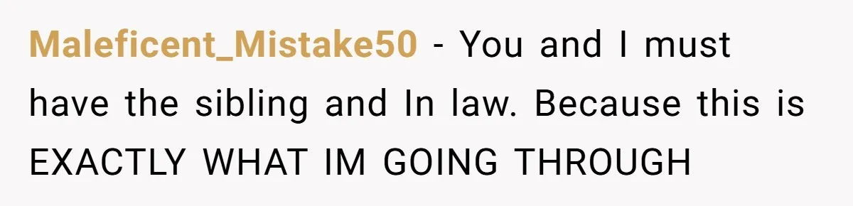 Maleficent_Mistake50 − You and I must have the sibling and In law. Because this is EXACTLY WHAT IM GOING THROUGH
