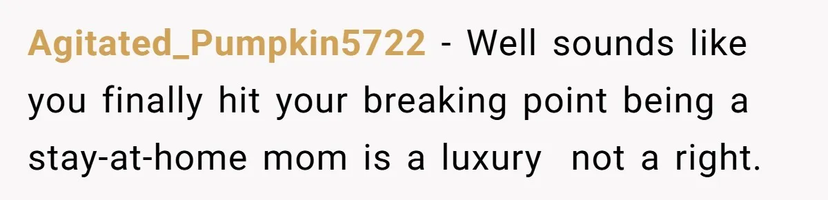 Agitated_Pumpkin5722 − Well sounds like you finally hit your breaking point being a stay-at-home mom is a luxury not a right.