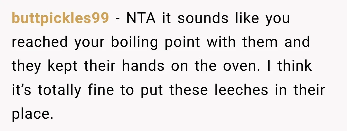 buttpickles99 − NTA it sounds like you reached your boiling point with them and they kept their hands on the oven. I think it’s totally fine to put these leeches...