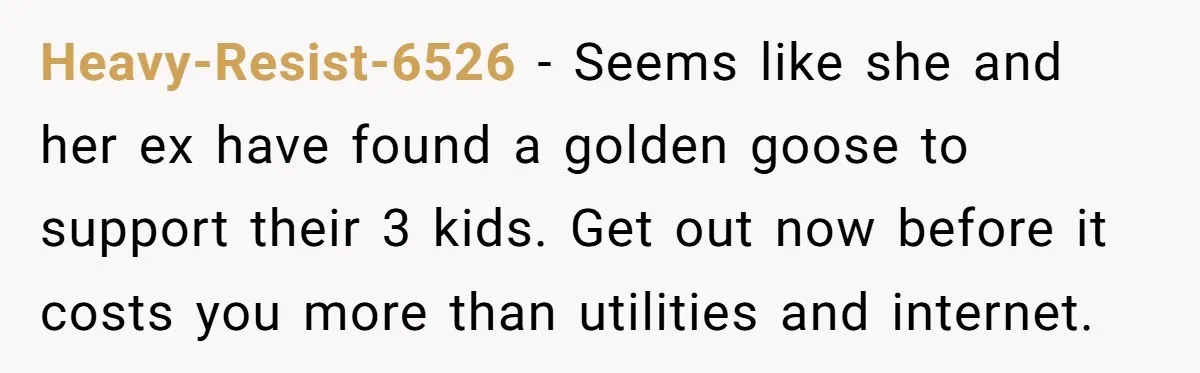 Heavy-Resist-6526 - Seems like she and her ex have found a golden goose to support their 3 kids. Get out now before it costs you more than utilities and internet.