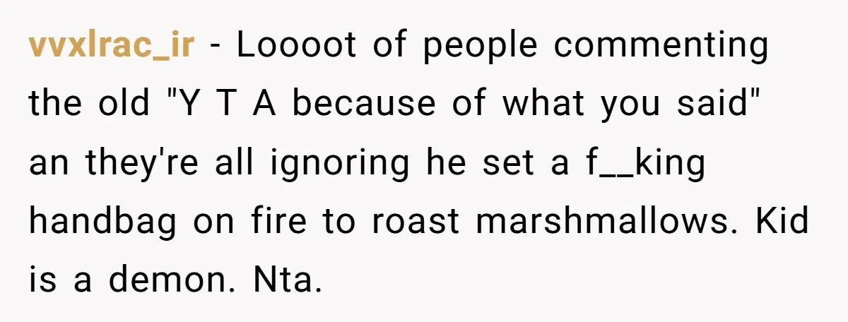 vvxlrac_ir − Loooot of people commenting the old "Y T A because of what you said" an they're all ignoring he set a f__king handbag on fire to roast marshmallows....