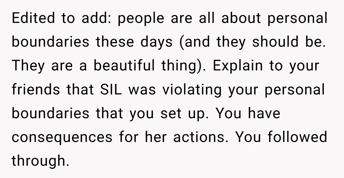Edited to add: people are all about personal boundaries these days (and they should be. They are a beautiful thing). Explain to your friends that SIL was violating your personal...