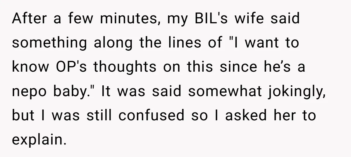 After a few minutes, my BIL's wife said something along the lines of "I want to know OP's thoughts on this since he’s a nepo baby." It was said somewhat...