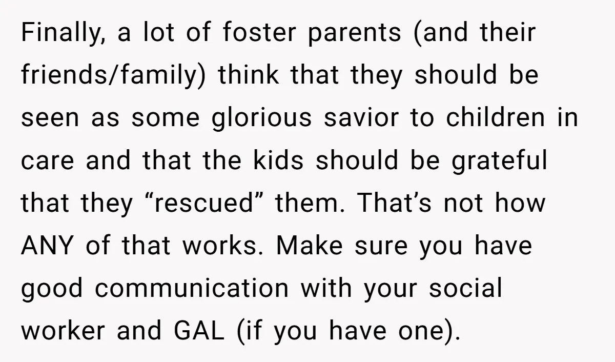 Finally, a lot of foster parents (and their friends/family) think that they should be seen as some glorious savior to children in care and that the kids should be grateful...