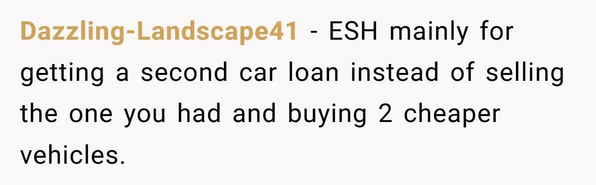 Dazzling-Landscape41 − ESH mainly for getting a second car loan instead of selling the one you had and buying 2 cheaper vehicles.