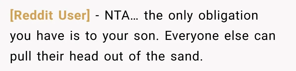[Reddit User] − NTA… the only obligation you have is to your son. Everyone else can pull their head out of the sand.