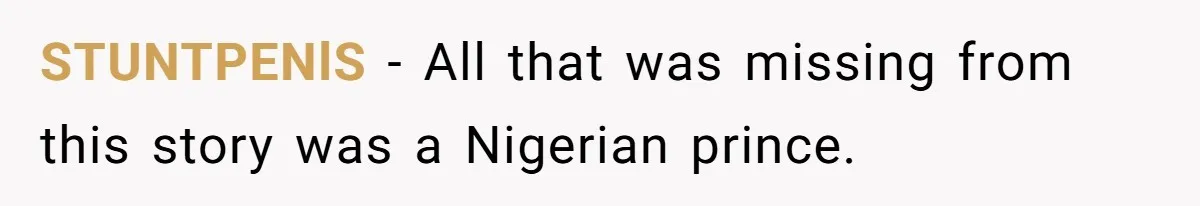 STUNTPENlS - All that was missing from this story was a Nigerian prince.