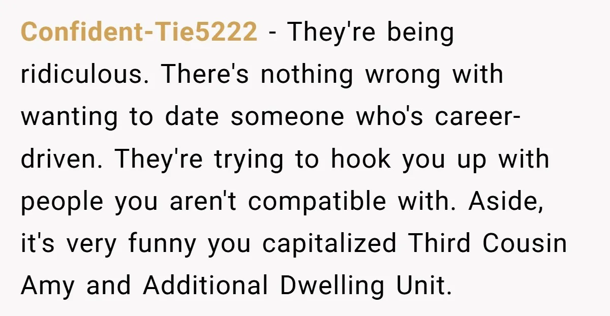 Confident-Tie5222 - They're being ridiculous. There's nothing wrong with wanting to date someone who's career-driven. They're trying to hook you up with people you aren't compatible with. Aside, it's very...