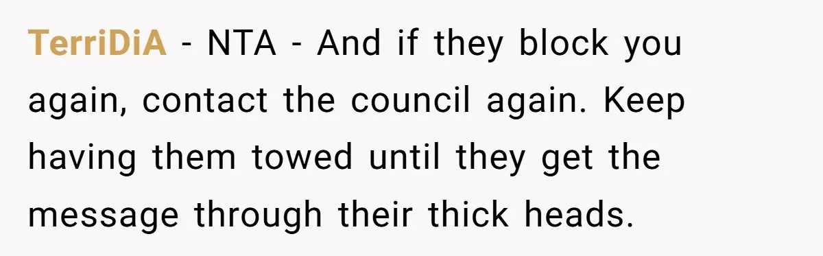 TerriDiA - NTA - And if they block you again, contact the council again. Keep having them towed until they get the message through their thick heads.