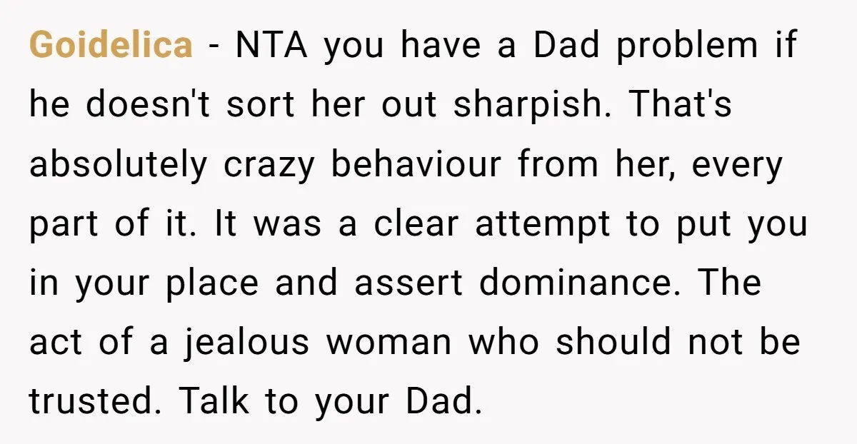 Goidelica − NTA you have a Dad problem if he doesn't sort her out sharpish. That's absolutely crazy behaviour from her, every part of it. It was a clear attempt...