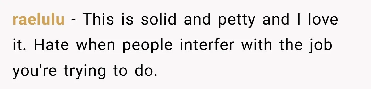raelulu − This is solid and petty and I love it. Hate when people interfer with the job you're trying to do.