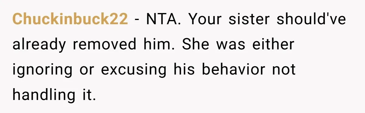 Chuckinbuck22 - NTA. Your sister should've already removed him. She was either ignoring or excusing his behavior not handling it.