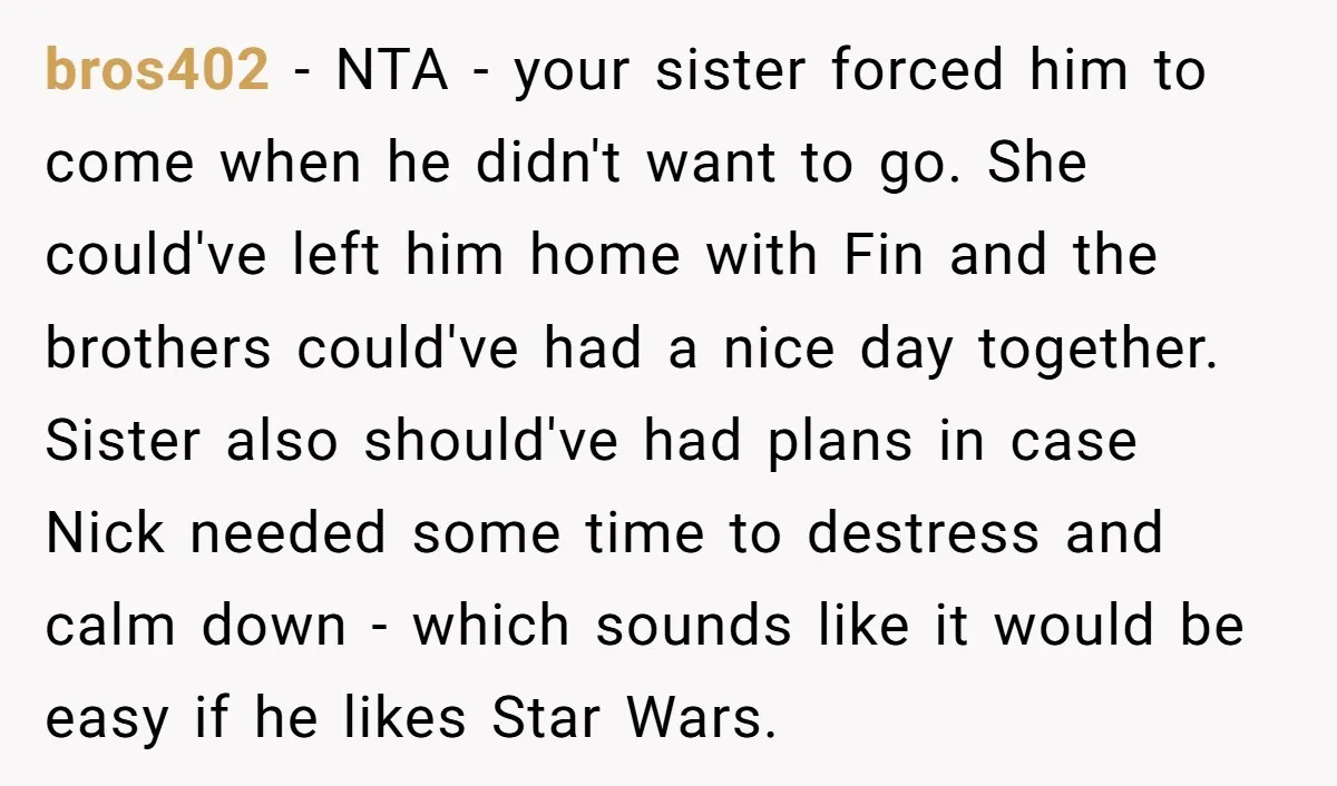 bros402 - NTA - your sister forced him to come when he didn't want to go. She could've left him home with Fin and the brothers could've had a nice...