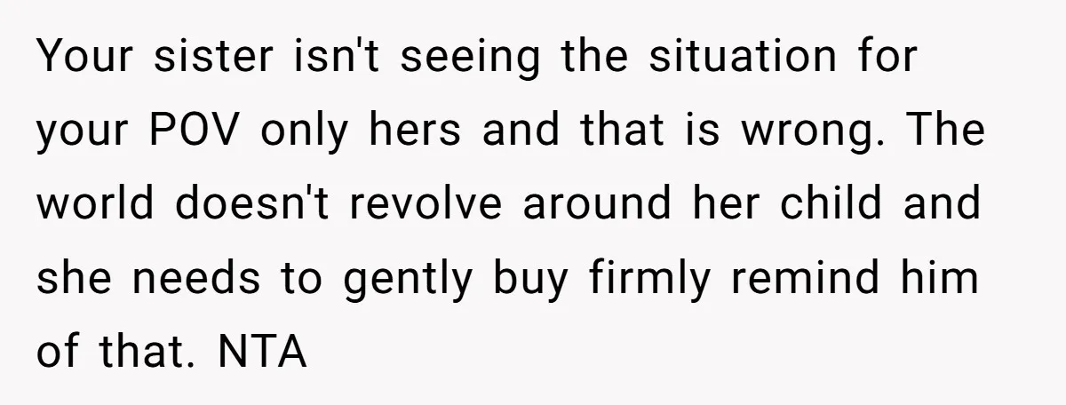 Your sister isn't seeing the situation for your POV only hers and that is wrong. The world doesn't revolve around her child and she needs to gently buy firmly remind...