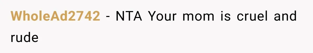 WholeAd2742 - NTA Your mom is cruel and rude
