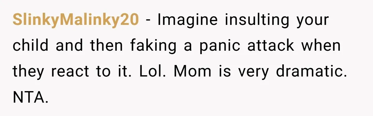 SlinkyMalinky20 - Imagine insulting your child and then faking a panic attack when they react to it. Lol. Mom is very dramatic. NTA.