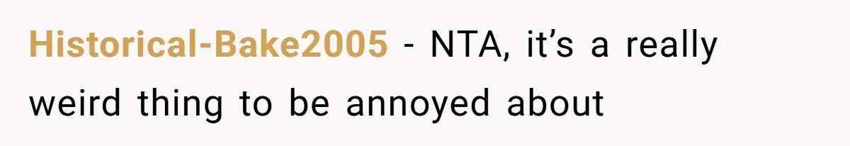 Historical-Bake2005 − NTA, it’s a really weird thing to be annoyed about