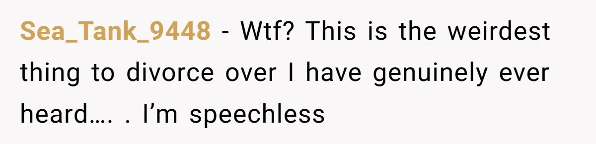 Sea_Tank_9448 − Wtf? This is the weirdest thing to divorce over I have genuinely ever heard…. . I’m speechless