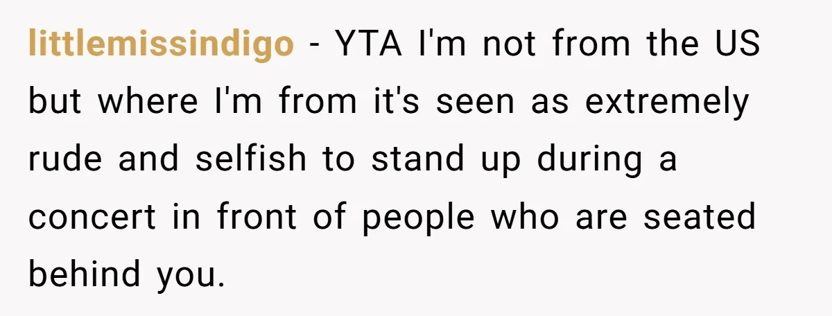 littlemissindigo − YTA I'm not from the US but where I'm from it's seen as extremely rude and selfish to stand up during a concert in front of people who...
